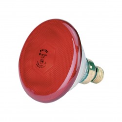 Lampe infrarouge économique Philips