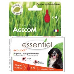 CHIENS (2)
