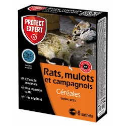 MULOTS RATS CAMPAGNOLS...