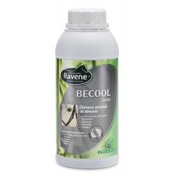 BECOOL (ANTI-STRESS) 500ML...