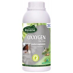 OXXYGEN 500ML - RAVENE