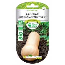 COURGE MUSQUÉE WALTHAM...