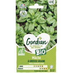 MÂCHE GROSSE GRAINE BIO -...