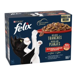 DÉLICES TRANCHÉS EN GELÉE...