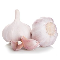 PLANTS AIL ROSE FLAVOR 500G