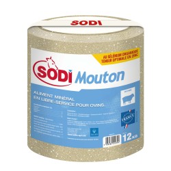 BLOC DE SEL A LÉCHER...