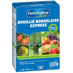 BOUILLIE BORDELAISE EXPRESS...