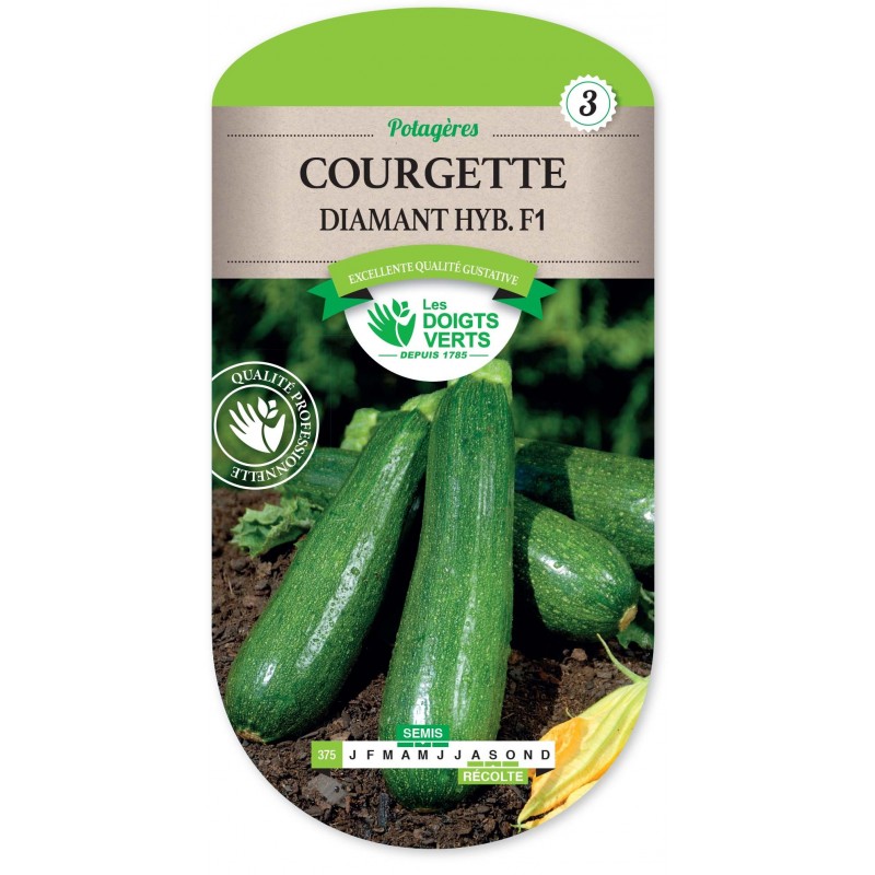 COURGETTE DIAMANT HYBRIDE F1 cat3