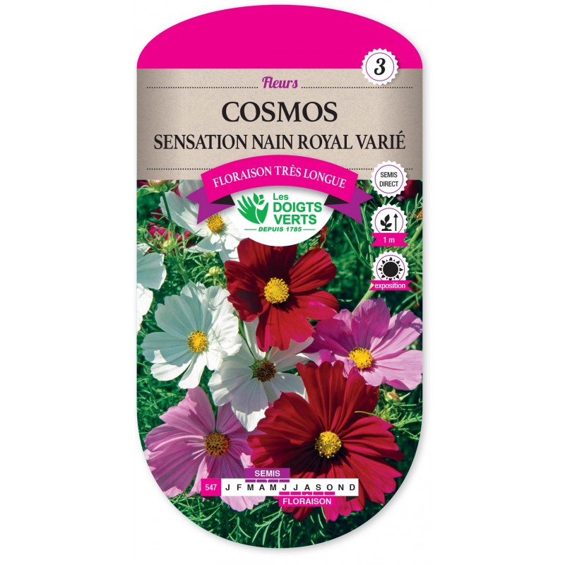 COSMOS SENSATION NAIN ROYAL VARIE CAT3