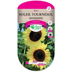SOLEIL TOURNESOL MOONSHINE  CAT2