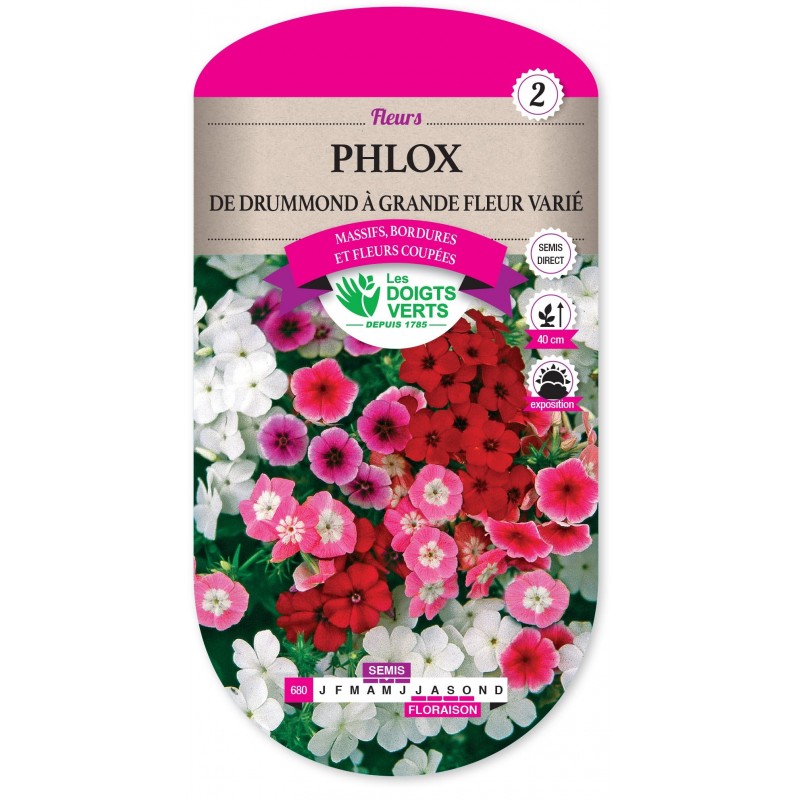 PHLOX DE DRUMMOND GRANDE FLEUR VARIE cat2