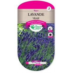 LAVANDE VRAIE cat3