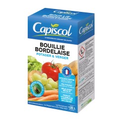 BOUILLIE BORDELAISE POTAGER...