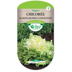 CHICOREE BLONDE COEUR PLEIN cat1
