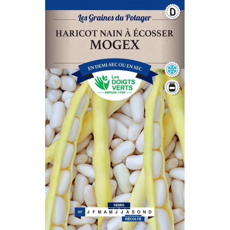 HARICOT NAIN BLANC MOGEX 200G catD