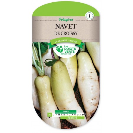 NAVET DE CROISSY CAT1 NAVET DE CROISSY CAT1