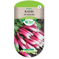 RADIS DE 18 JOURS cat1