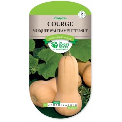 COURGE MUSQUEE WALTHAM BUTTERNUT