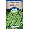 HARICOT NAIN TALISMAN cat3