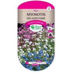 MYOSOTIS DES ALPES VARIE cat2