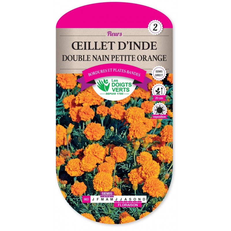 OEILLET D'INDE DOUBLE NAIN PETITE ORANGE cat2