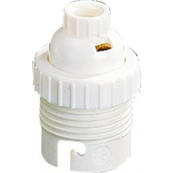 DOUILLE PLASTIQUE B22 X1