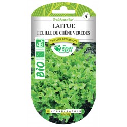 LAITUE FEUILLE DE CHÊNE...