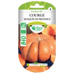 COURGE MUSQUÉE DE PROVENCE...
