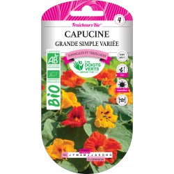 CAPUCINE GRANDE SIMPLE...