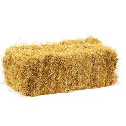 BALLOT DE PAILLE
