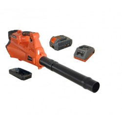 PACK SOUFFLEUR À BATTERIE...