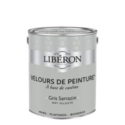 VELOURS DE PEINTURE GRIS...