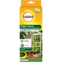 7 PIEGES JAUNES MOUCHERONS...