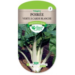POIREE VERTE A CARDE BLANCHE 3 CAT1