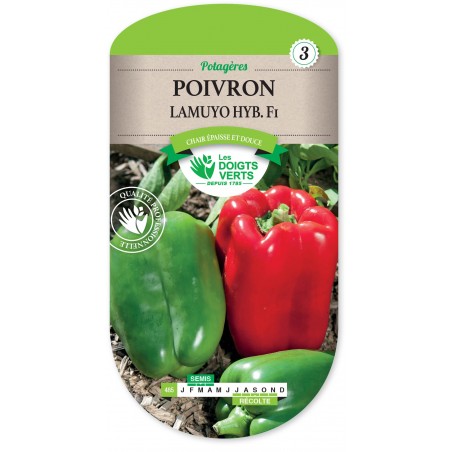 POIVRON LAMUYO HYBRIDE F1 cat3 POIVRON LAMUYO HYBRIDE F1 cat3