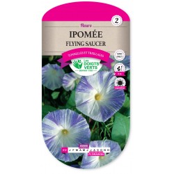 IPOMEE FLYING SAUCER CAT2