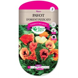 PAVOT ORIENT PIZZICATO CAT 3