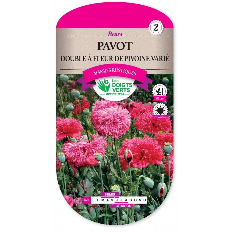 PAVOT DOUBLE A FLEUR DE PIVOINE VARIE cat2