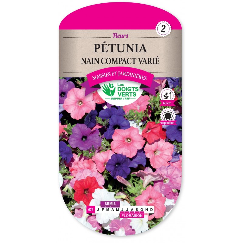 PETUNIA NAIN COMPACT VARIE cat2