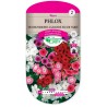 PHLOX DE DRUMMOND GRANDE FLEUR VARIE cat2