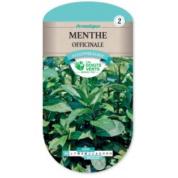 MENTHE OFFICINALE cat2