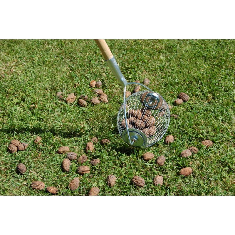 Ramasse noix - LUCIFER - Boule avec manche inox - Gris - Manuel - Cdiscount  Jardin