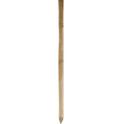 Piquet pin traité classe...