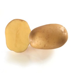 SAC 3KG POMME DE TERRE...