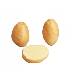 SAC 3KG POMME DE TERRE...