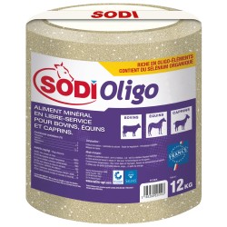 BLOC DE SEL A LÉCHER...