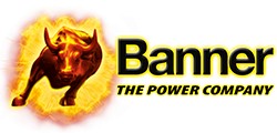 Banner Pro P11040 Power Bull PROfessional 110Ah Autobatterie