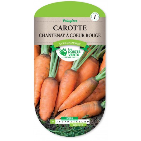 CAROTTE CHANTENAY COEUR RGE cat1 CAROTTE CHANTENAY COEUR RGE cat1
