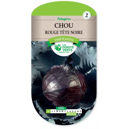 CHOU ROUGE TETE NOIRE cat2 CHOU ROUGE TETE NOIRE cat2