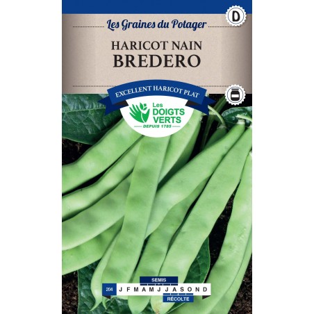 HARICOT NAIN MANGETOUT BREDERO 250G catD HARICOT NAIN MANGETOUT BREDERO 250G catD